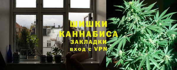 прущая мука Ельня